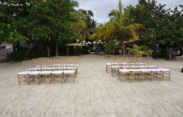 Category Vendor Gallery Caymanas Golf Club