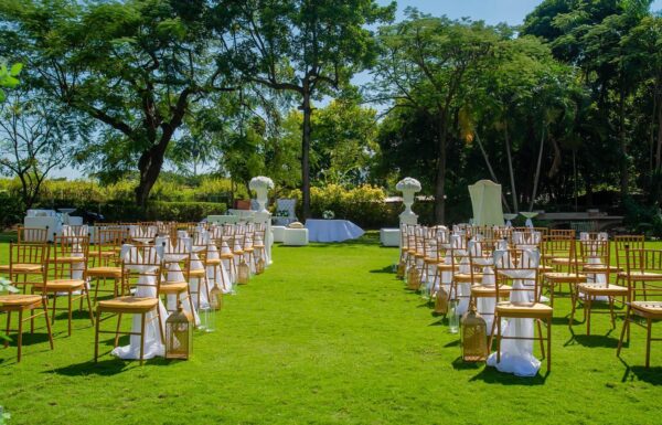 Divine Events Divine events - Jamaica Wedding Planner Gallery 0